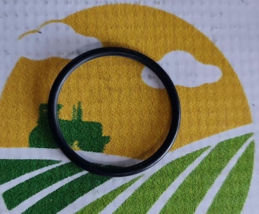 [AMAT1-23316] O-Ring L34995