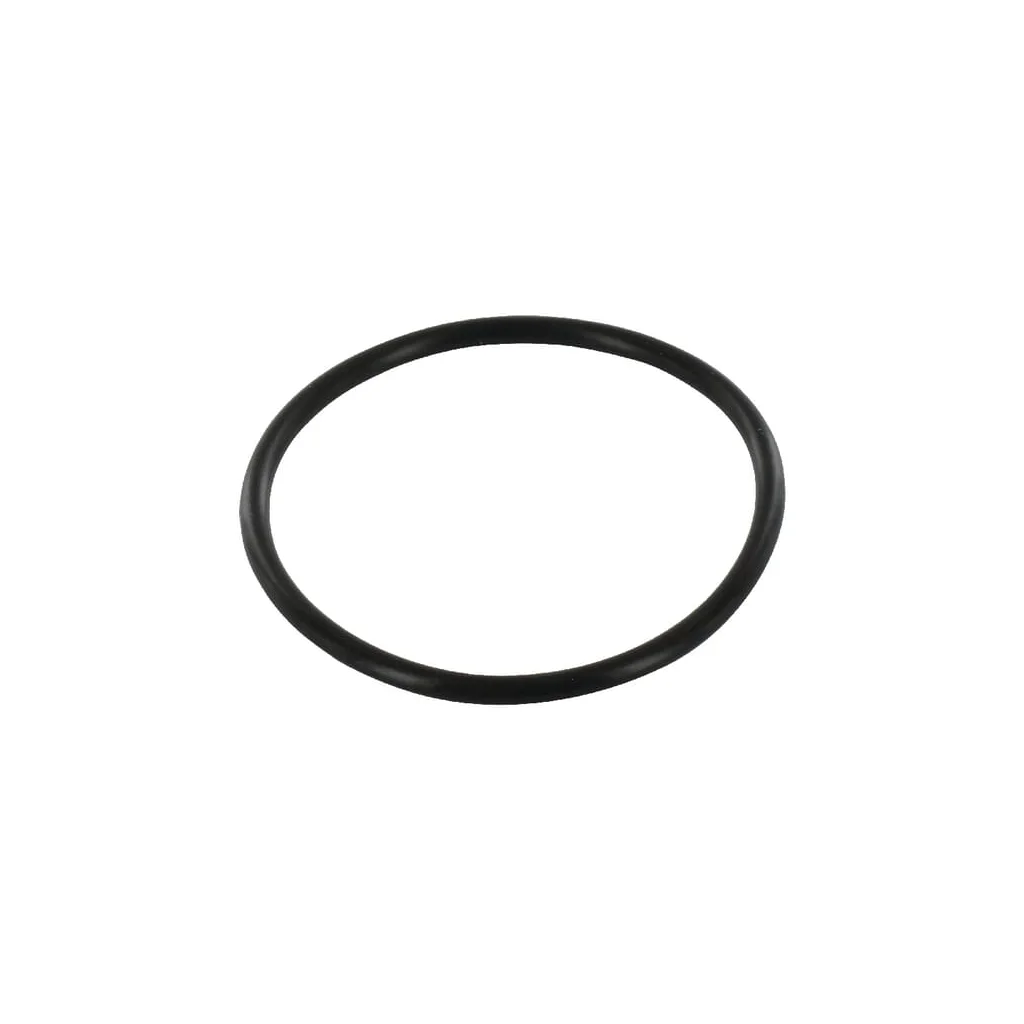 [AMAT2-154929] O-ring 510185