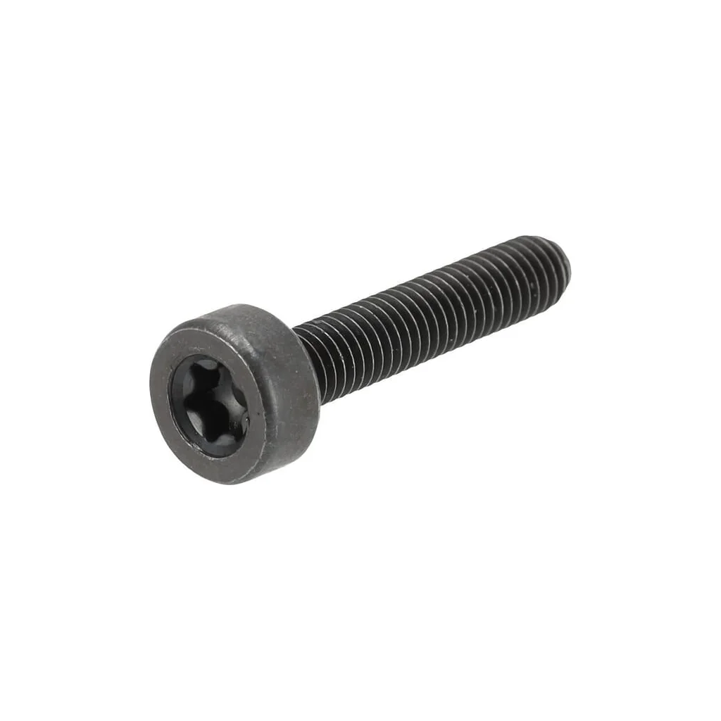 [AMAT2-150598] Șurub 503215325
