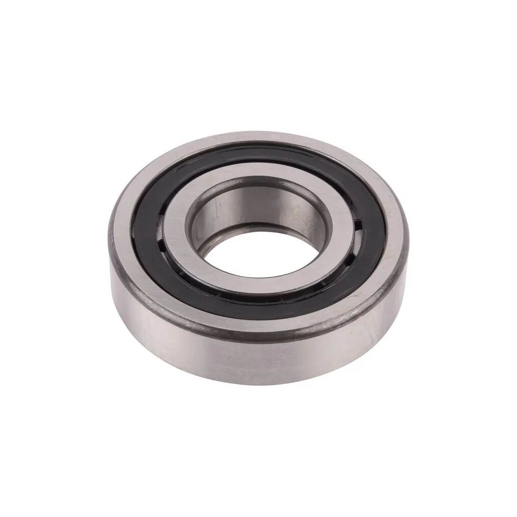 [AMAT2-155273] Rulment cu role cilindrice 5138660