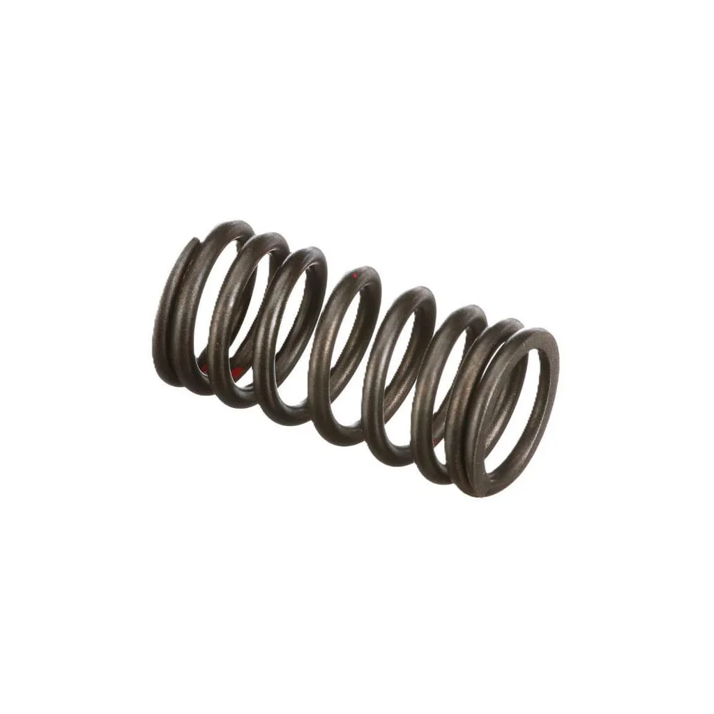 [AMAT2-146941] Arcul supapei motorului 4895215FPT