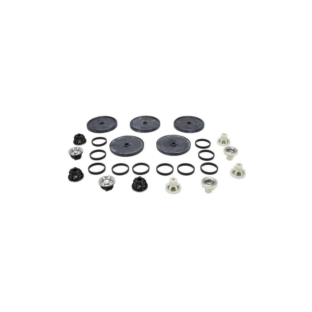 [AMAT2-150678] Kit piese de schimb pentru pompă 50260382