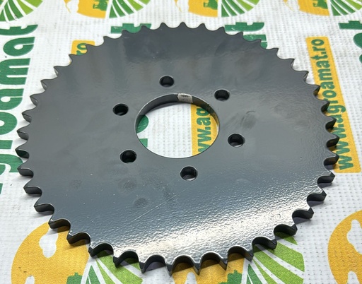[AMAT1-23487] Pinion Z-42 0309.52.00.00