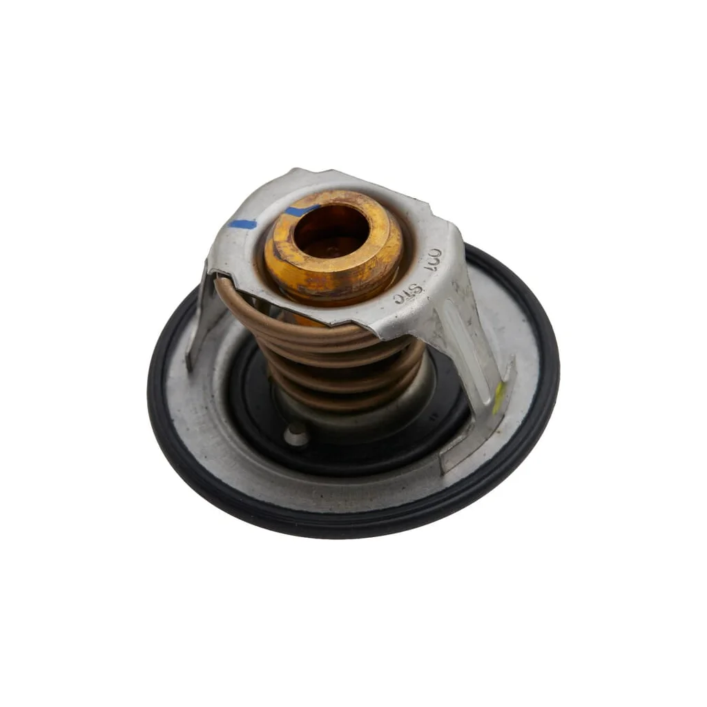 [AMAT2-151571] Termostat 504380075FPT