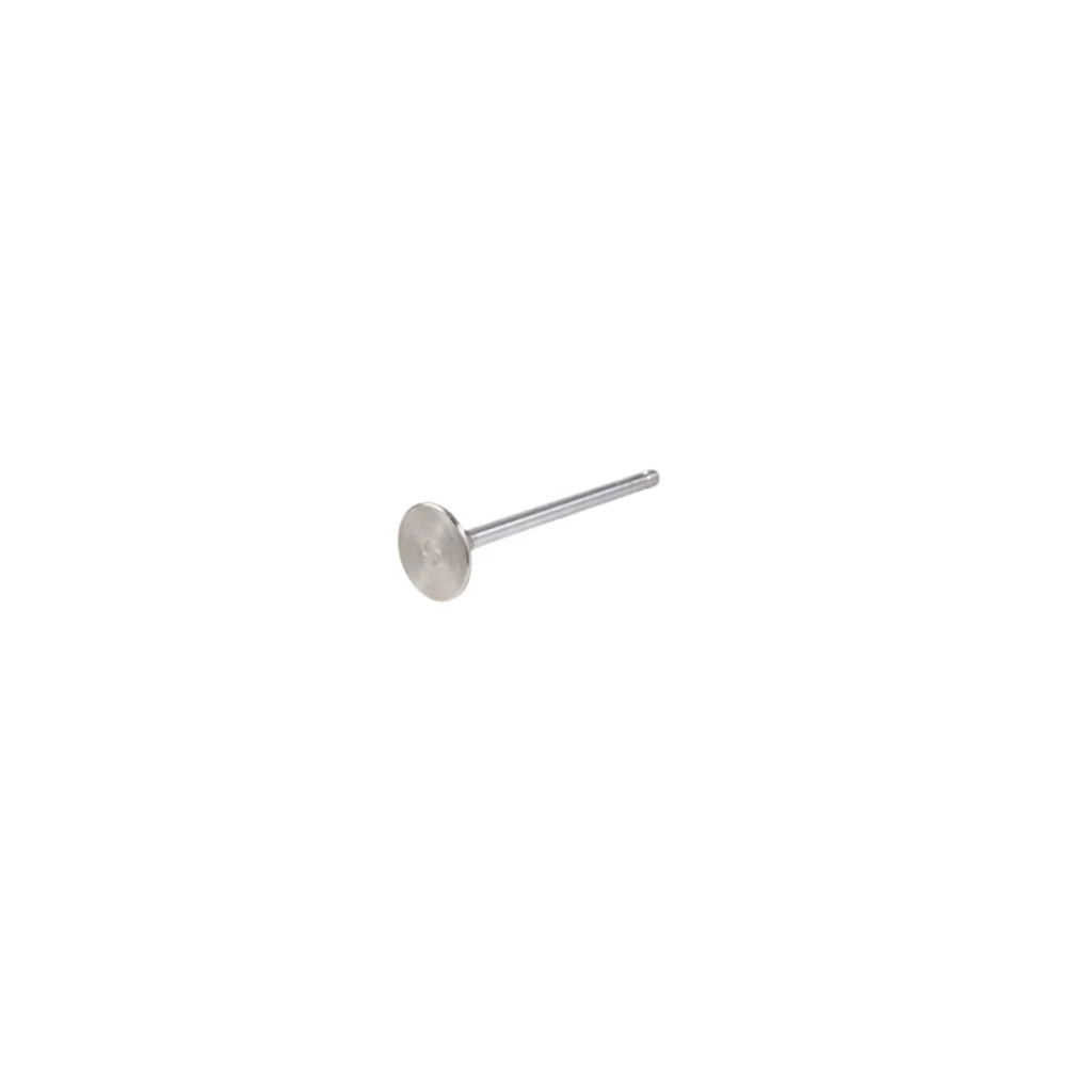 [AMAT2-147040] Supapă admisie 4895052FPT