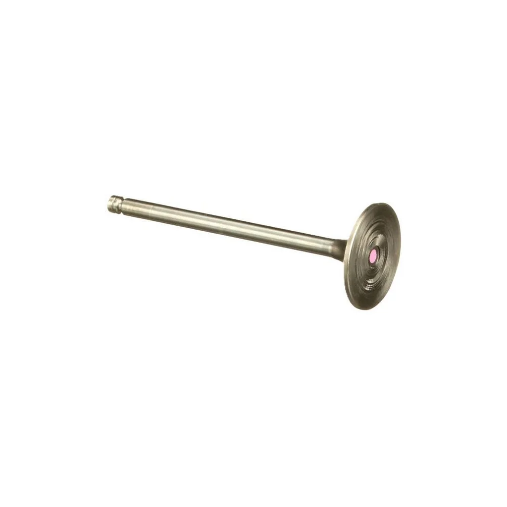 [AMAT2-147048] Supapă de admisie STD 4895187FPT