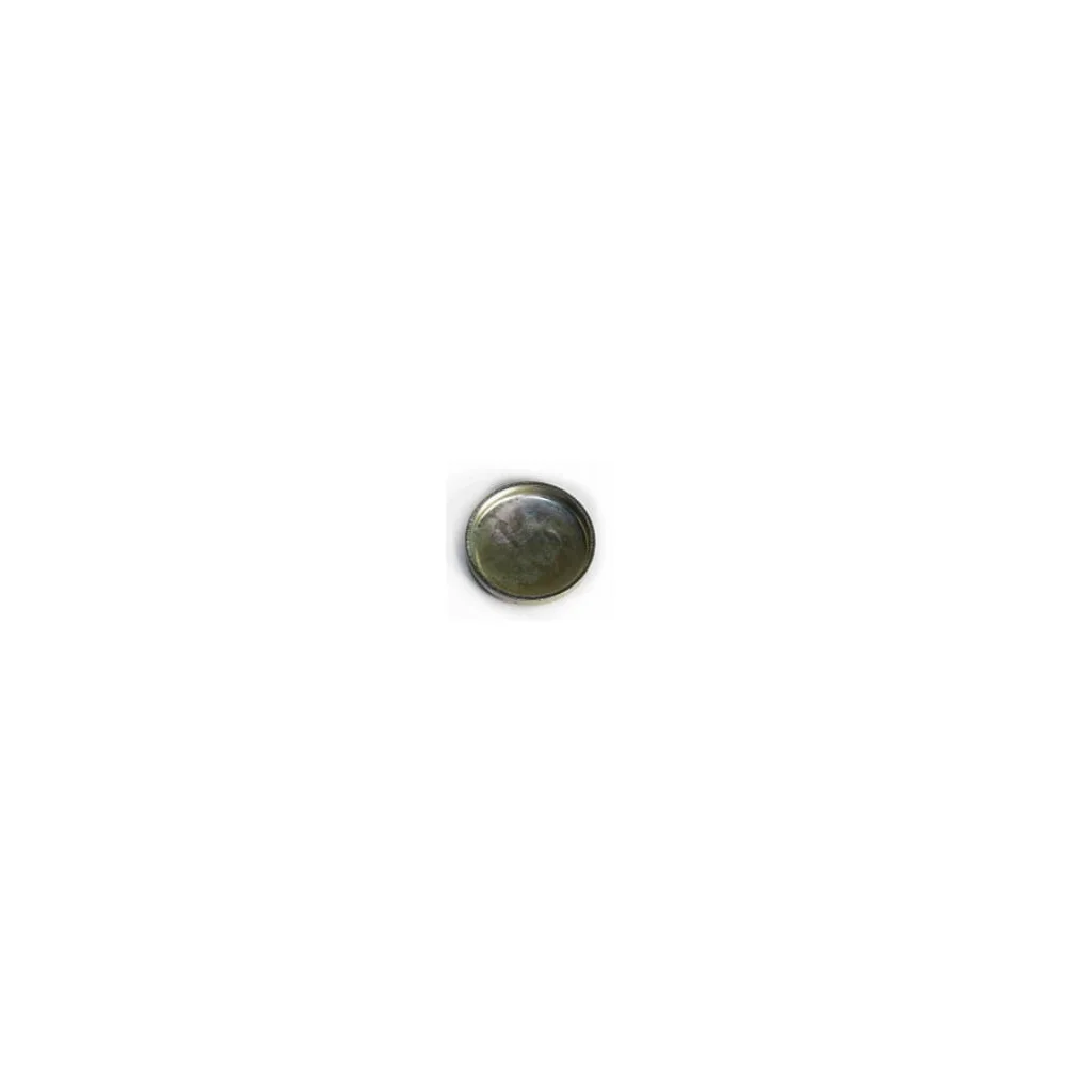 [AMAT2-147139] Dop ø38mm 4895407FPT