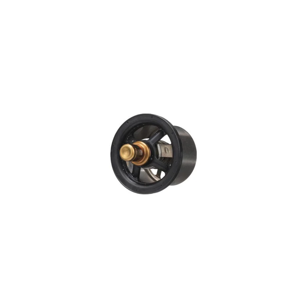 [AMAT2-151641] Termostat 504096443FPT