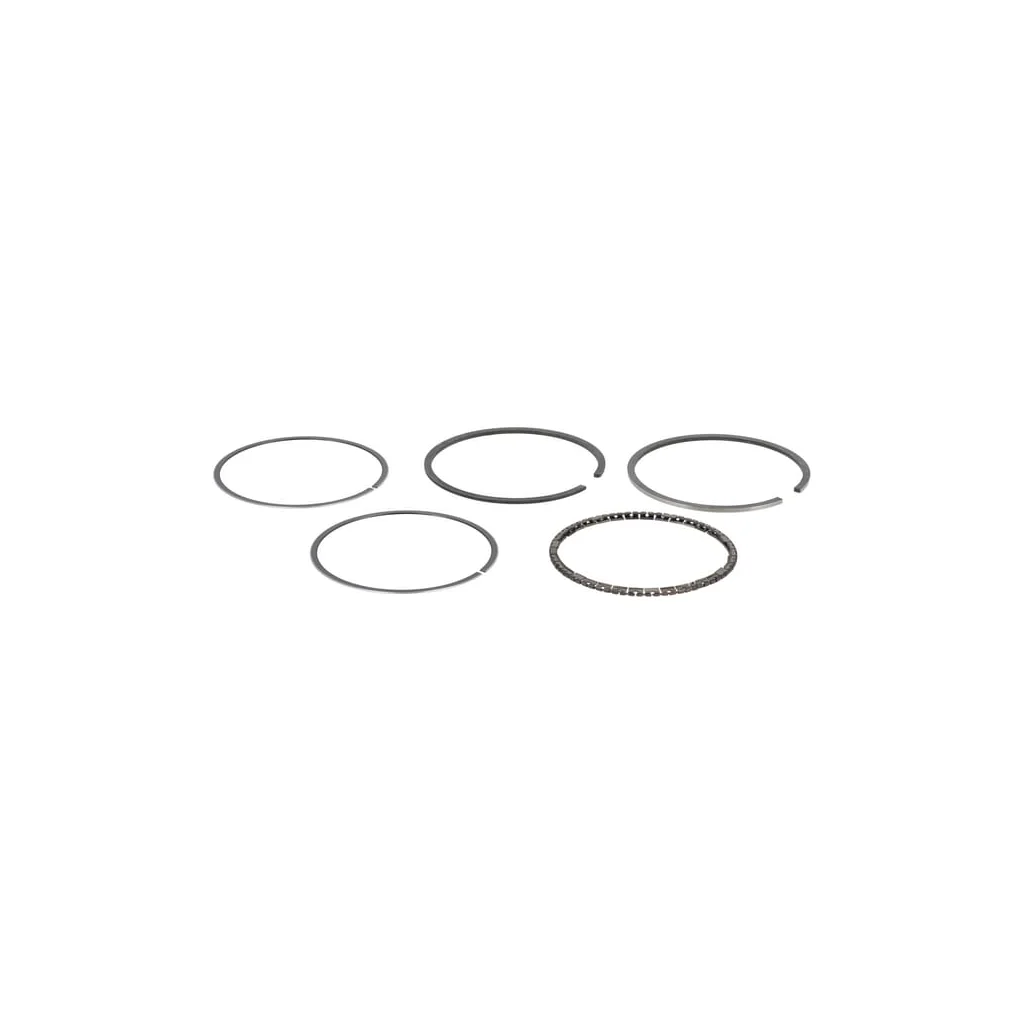 [AMAT2-147186] Set standard de segmenti 493782