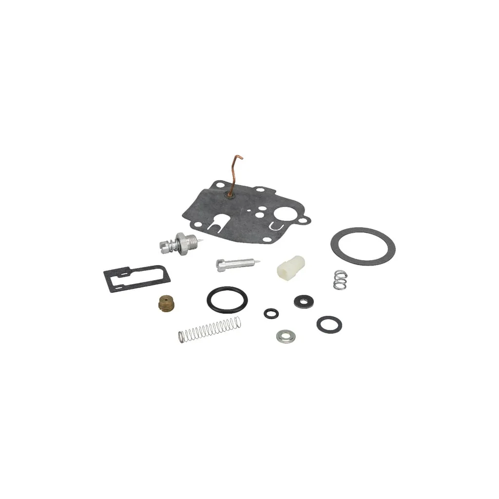 [AMAT2-147225] Kit de reparare carburator 494623