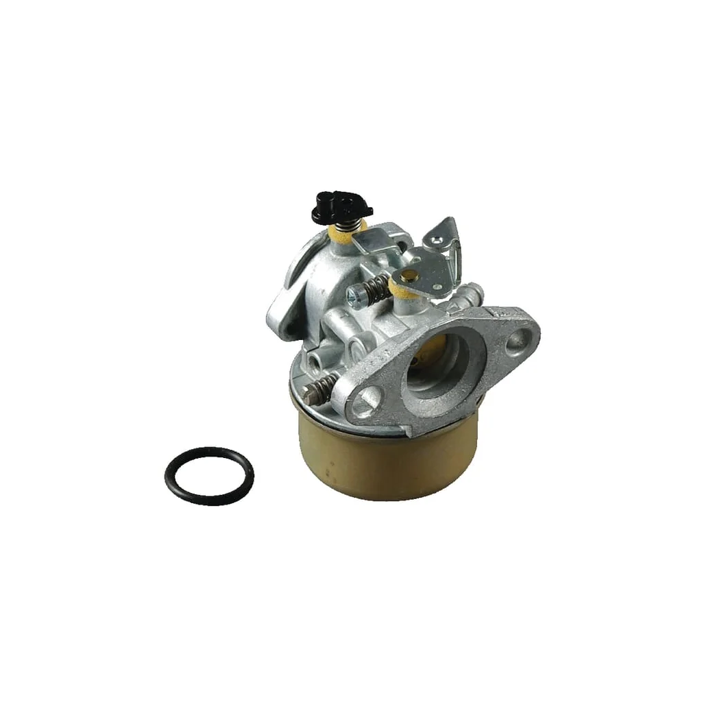 [AMAT2-147264] Carburator 492499
