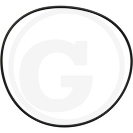 [AMAT1-23682] O-Ring RG00031156