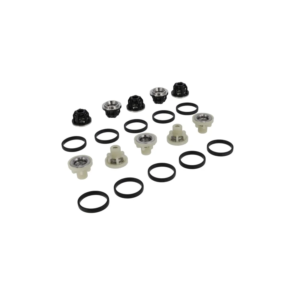 [AMAT2-150884] Kit complet ansamblu supapă 50250065