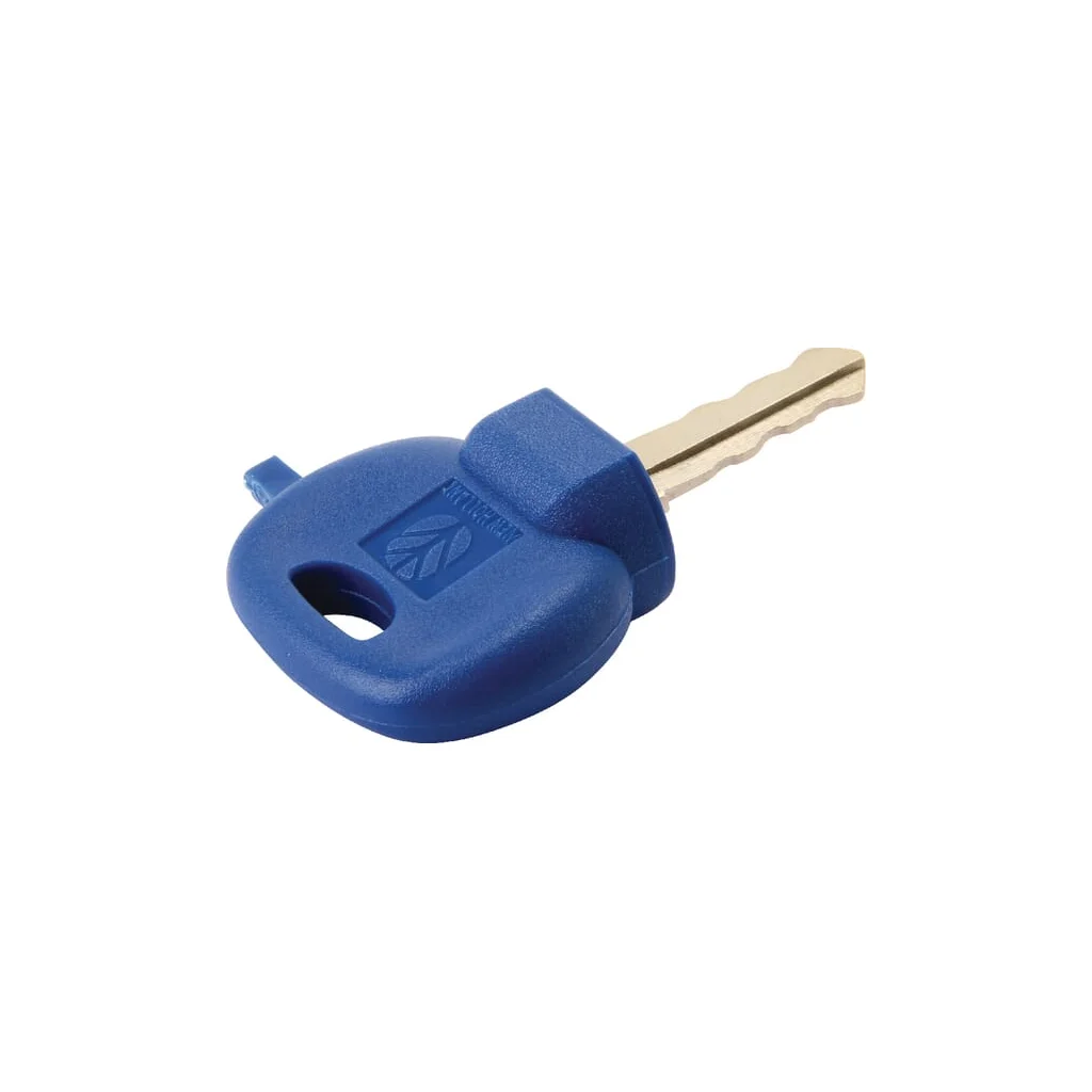 [AMAT2-156505] Cheie comutator pornire 51561981