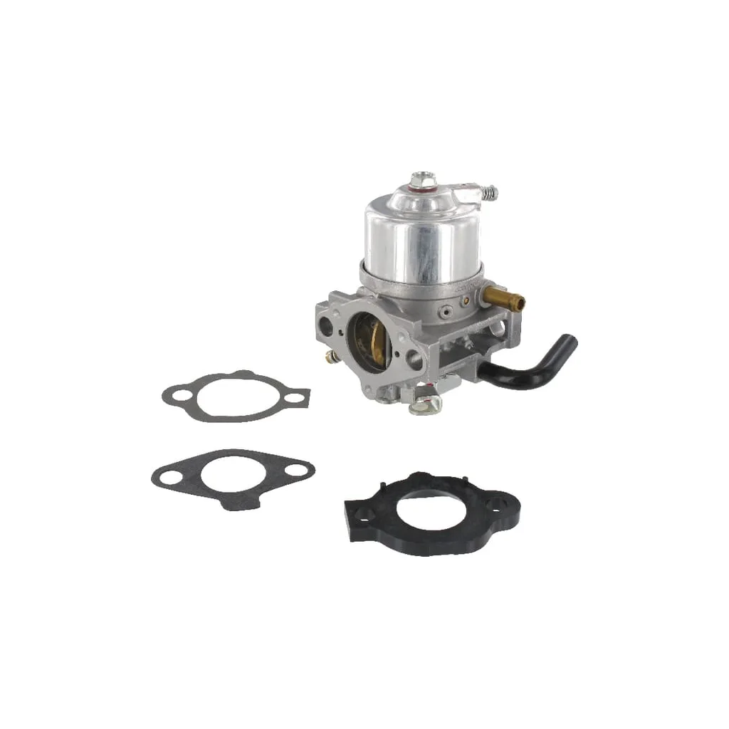[AMAT2-147394] Carburator 492256