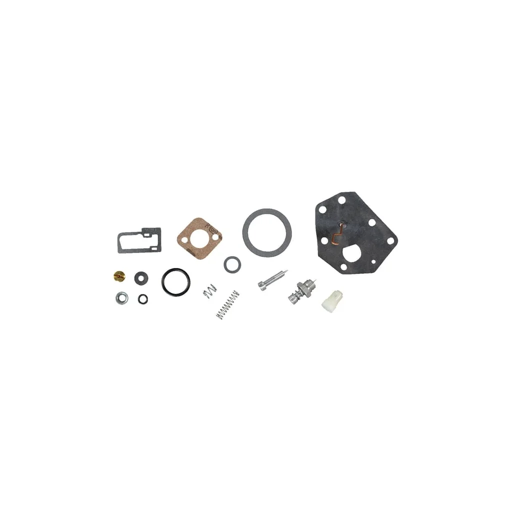 [AMAT2-147412] Kit reparație carburator 494622