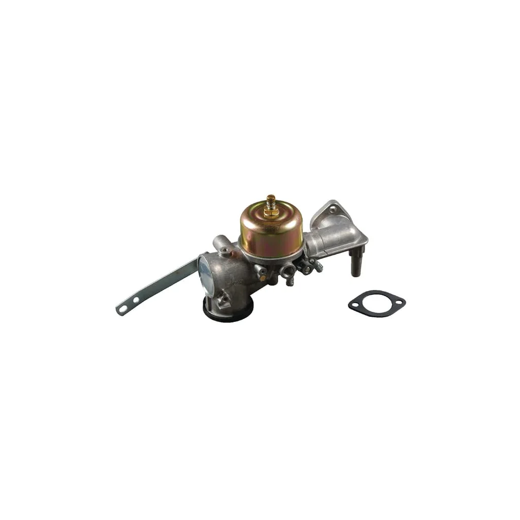 [AMAT2-147494] Carburator 491590