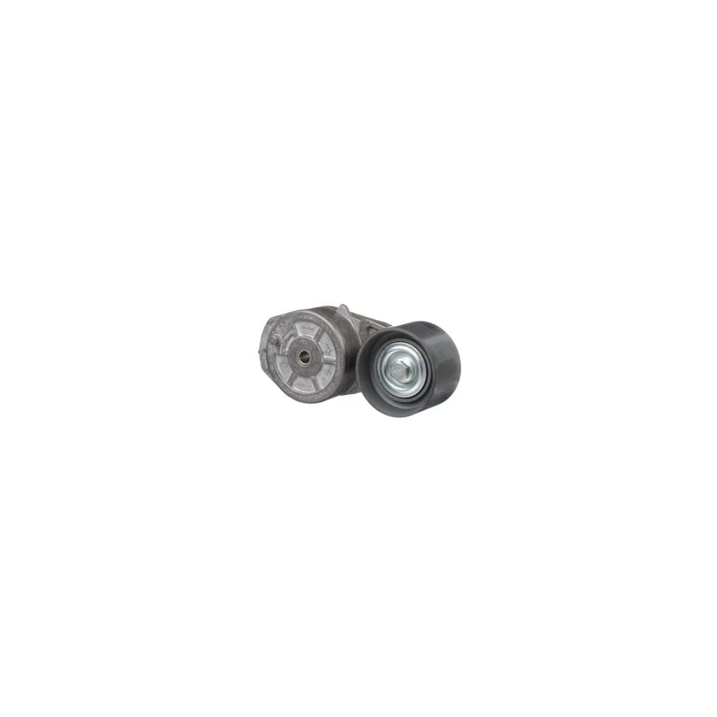 [AMAT2-152093] Întinzător curea 504046191FPT