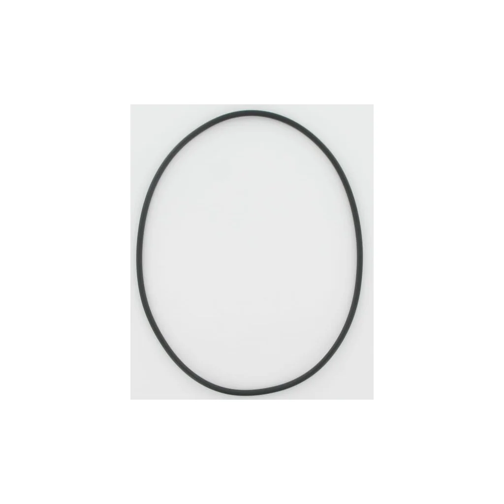 [AMAT2-161243] O-ring Niemeyer 550602