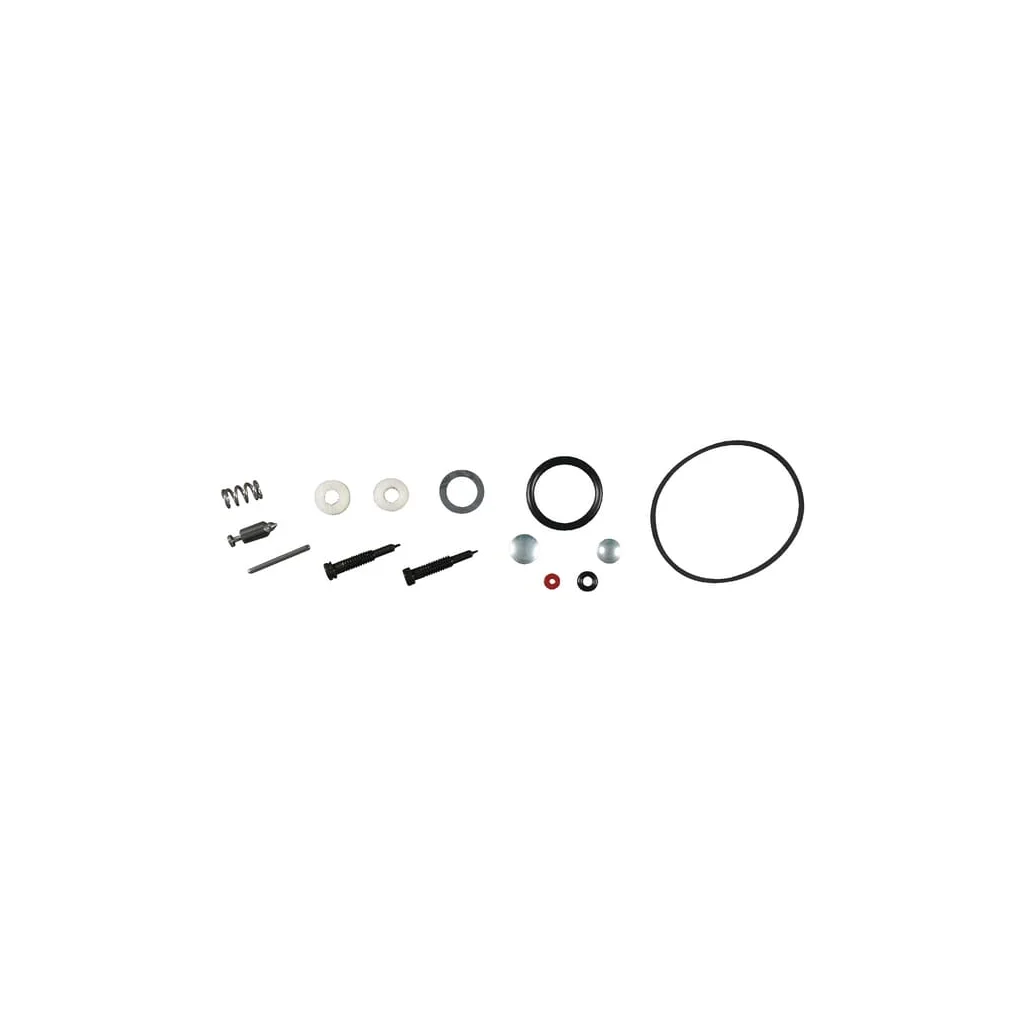 [AMAT2-147624] Kit reparație carburator 494349