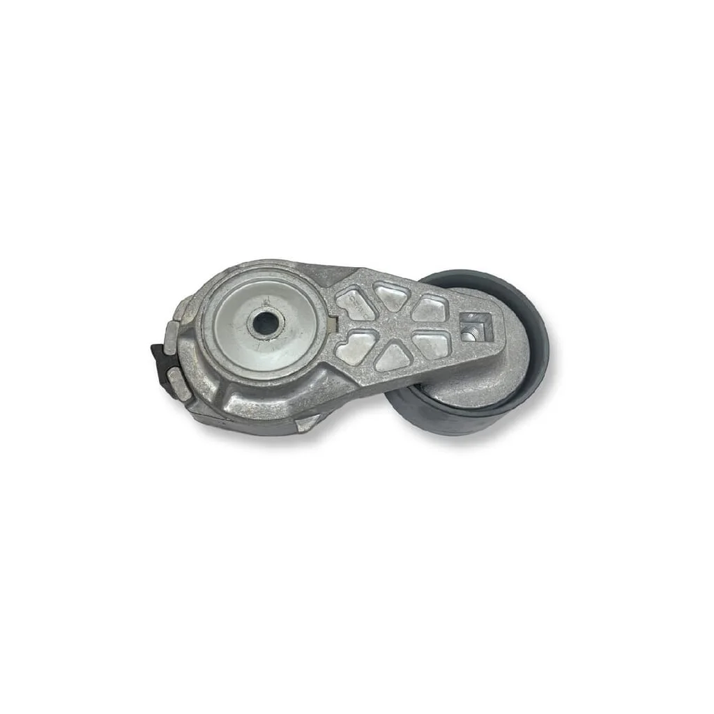 [AMAT2-165306] Întinzător de curea 5802025650FPT