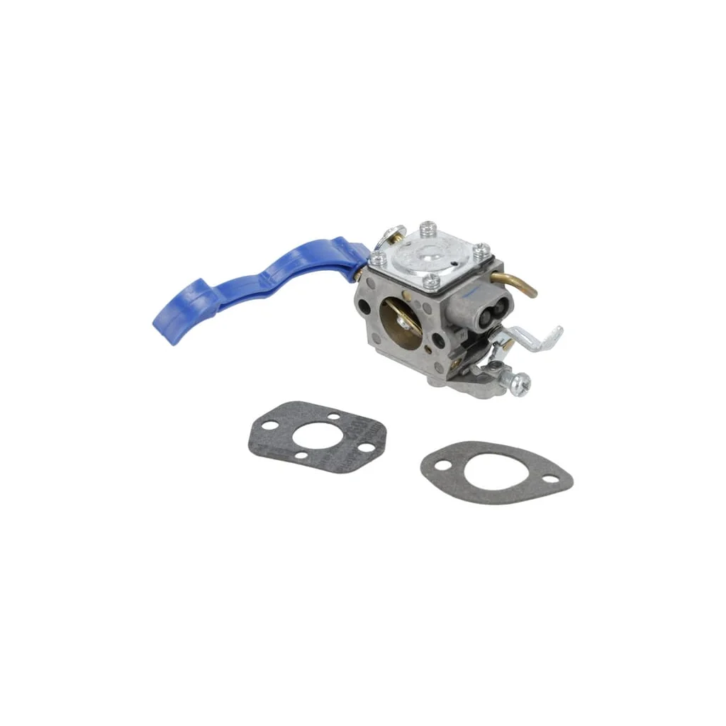 [AMAT2-168356] Kit carburator 590460102