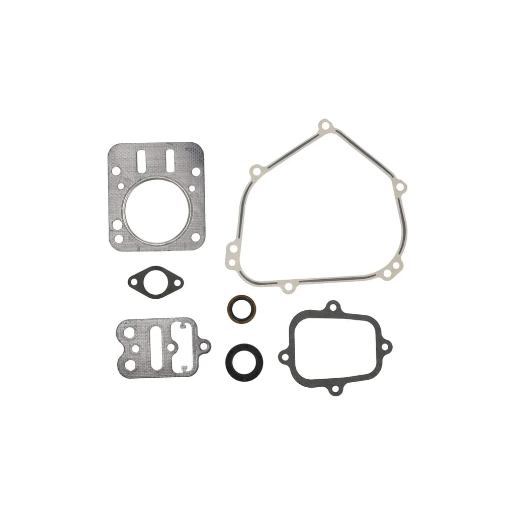 [AMAT2-162010] Set garnituri motor 555631