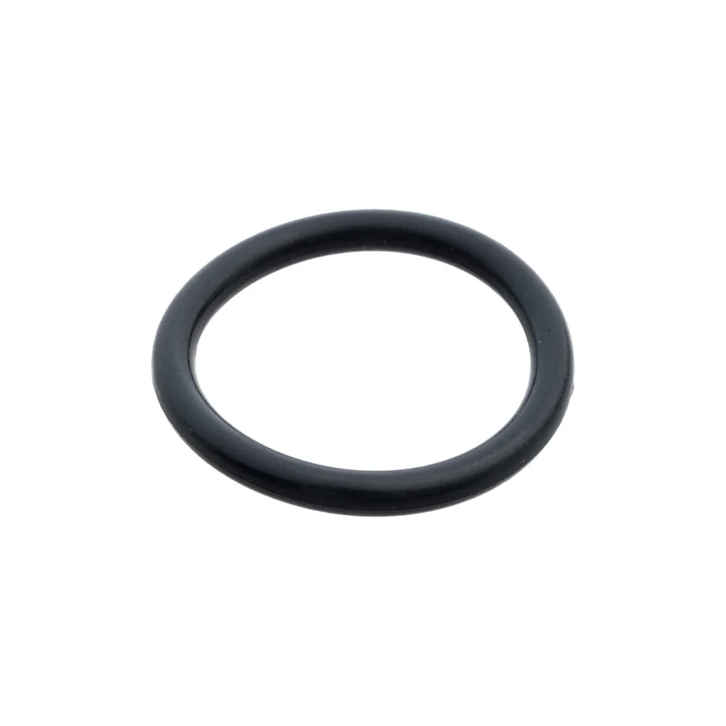[AMAT2-152940] O-ring 505451101