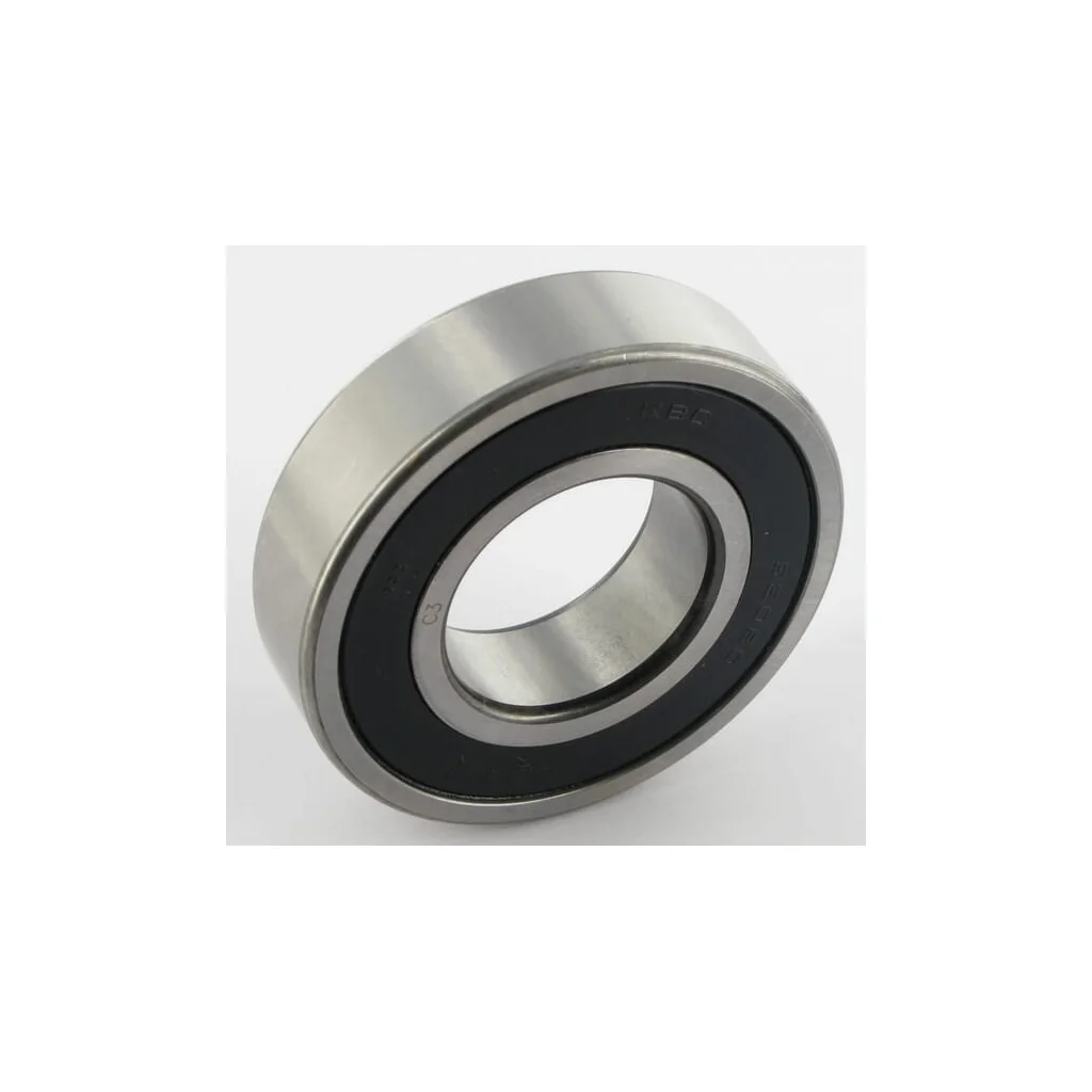 [AMAT2-162366] Rulment Niemeyer 540197