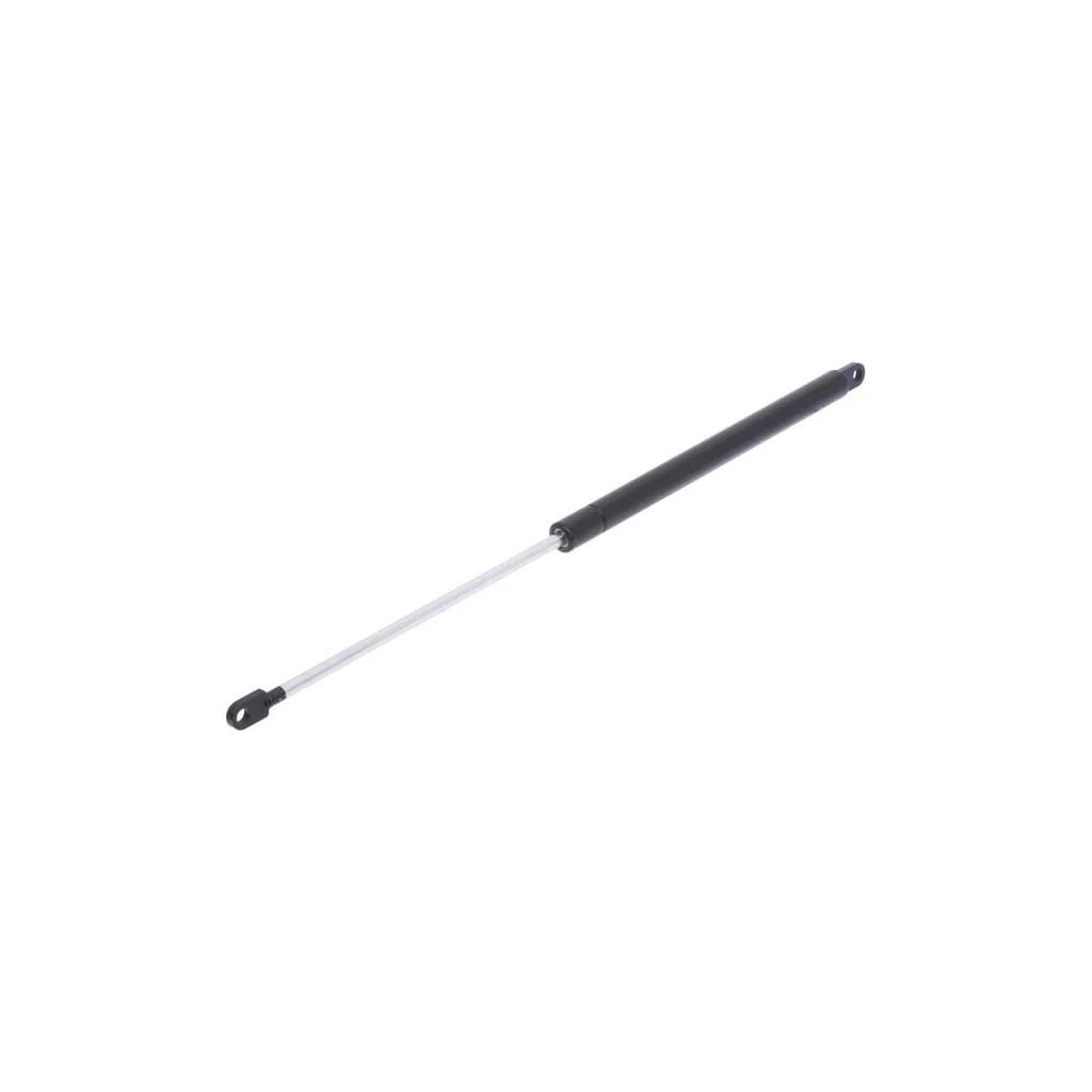 [AMAT2-153305] Amortizor 5113767N