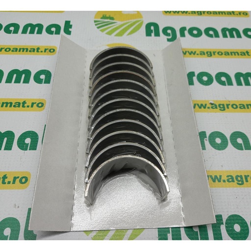 [AMAT1-24567] Cuzineti Biela OM352