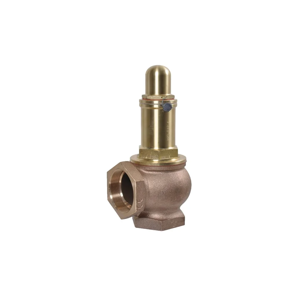 [AMAT2-154164] Supapa de presiune 4 bar 2 1/2 Battioni Pagani 5100200034