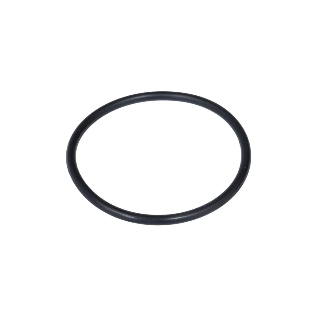 [AMAT2-166639] O-ring 574515201