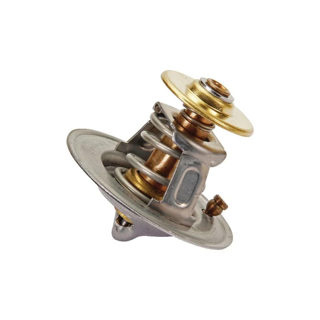 [AMAT2-172020] Termostat 6005031321