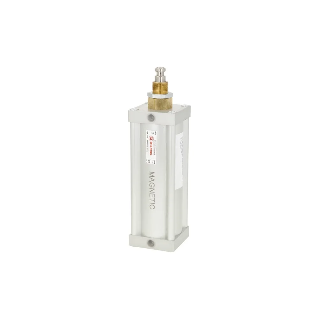 [AMAT2-172332] Cilindru pneumatic. 6" execuție magnetică 6008200Z