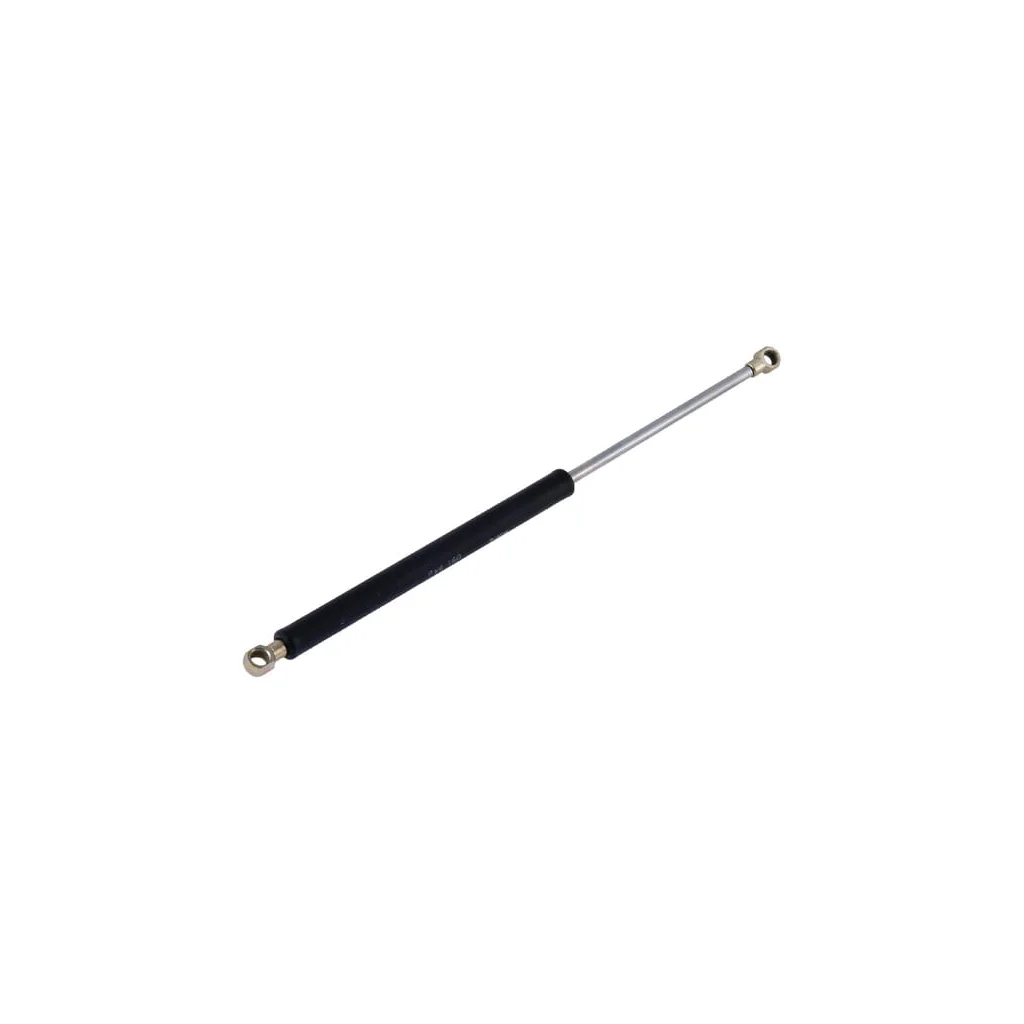[AMAT2-172565] Arc pneumatic, uşă şi lunetă 60117921