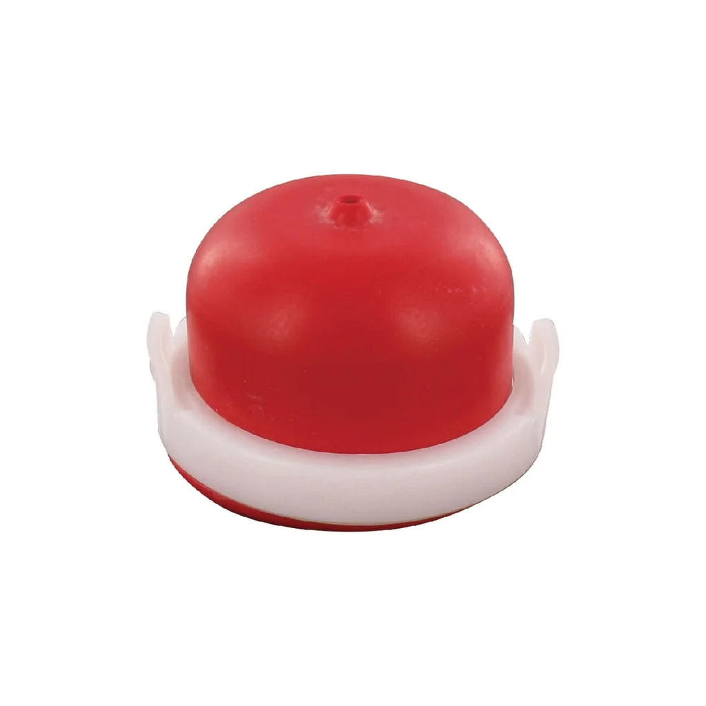[AMAT2-169238] Primer complet 594281