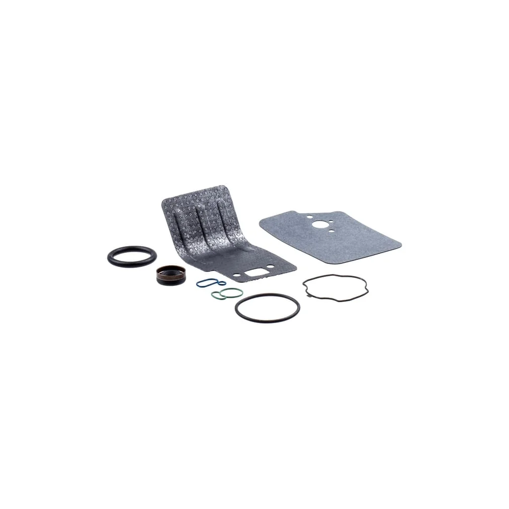 [AMAT2-162774] Set de garnituri 25cc 545081832