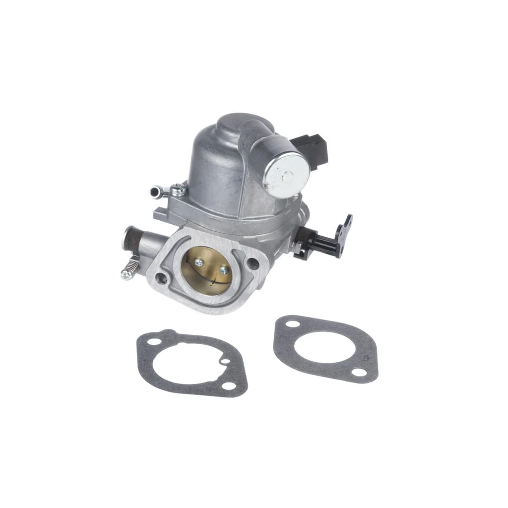 [AMAT2-169406] Carburator 594207