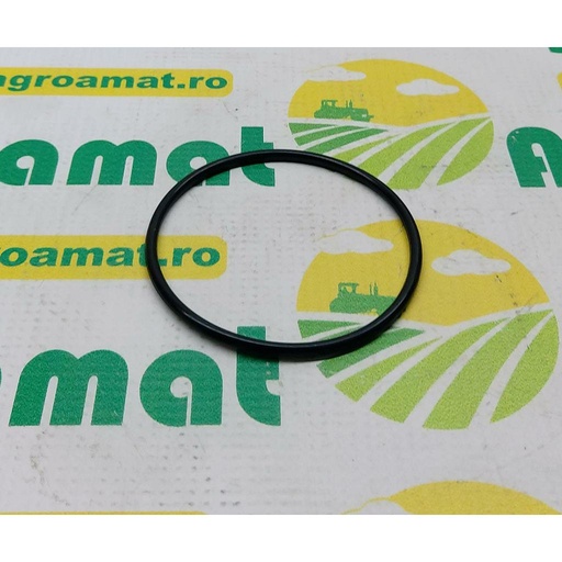 [AMAT1-25099] O-Ring 2.1530.170.0
