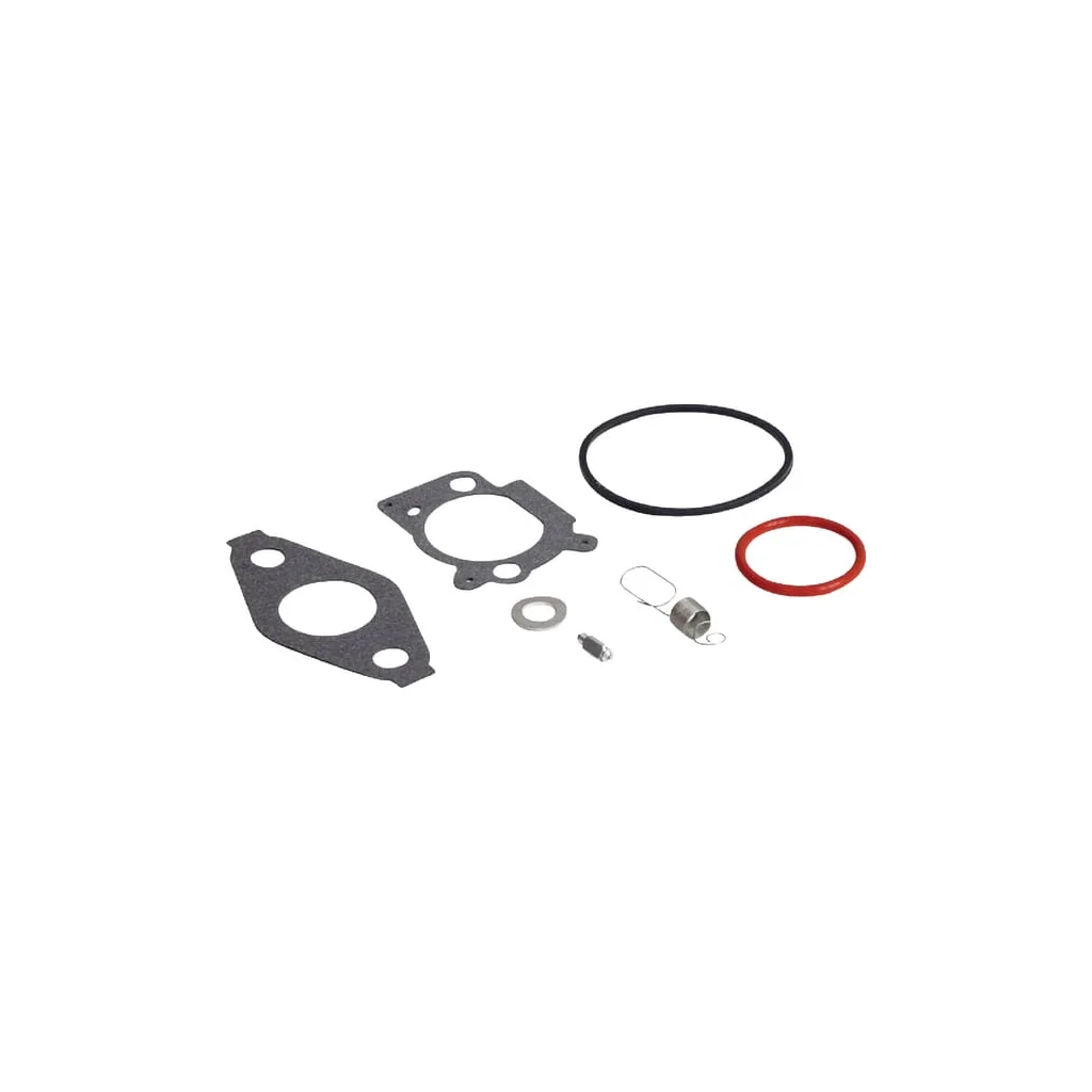[AMAT2-169713] Kit de reparație carburator 592483
