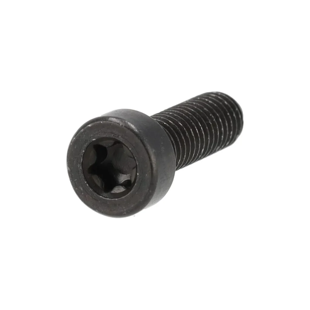 [AMAT2-163009] Șurub 544218420