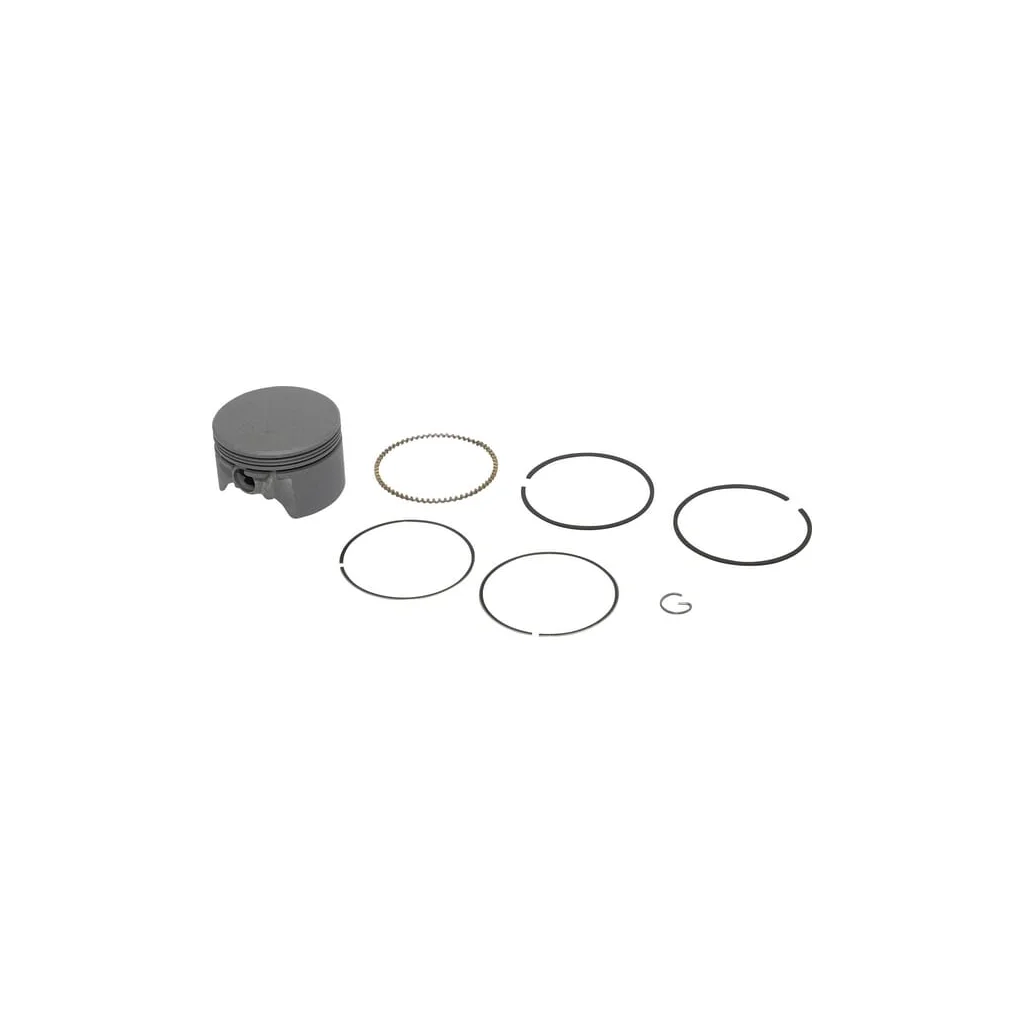 [AMAT2-170073] Piston complet standard 591975