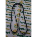 Curea Transmisie R228566