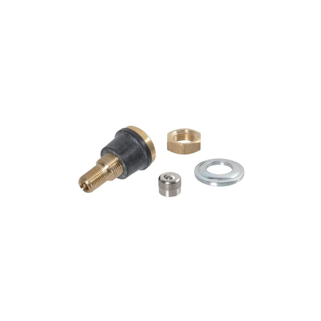 [AMAT2-163853] Supapă metalică TR575 5629716
