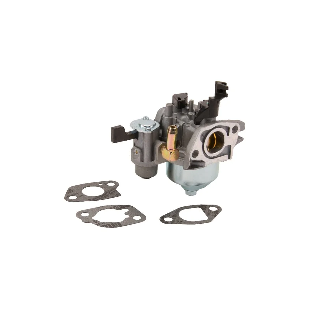 [AMAT2-170310] Carburator 596079