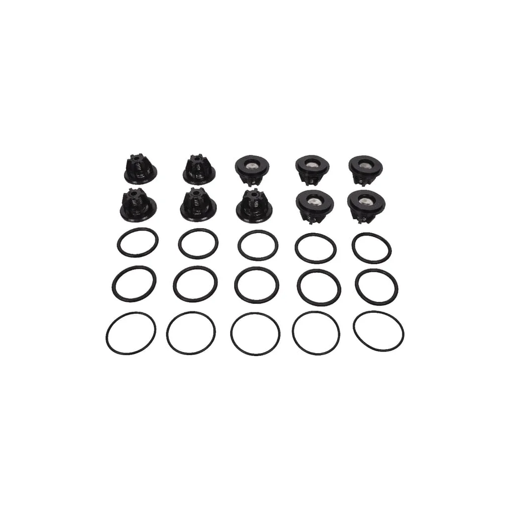 [AMAT2-164078] Set supape Bertolini 559802973