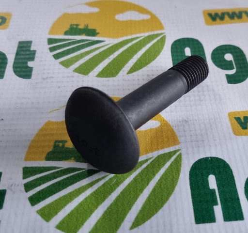 [AMAT1-25681] Surub cu cap Semirotund Rabe 22044908