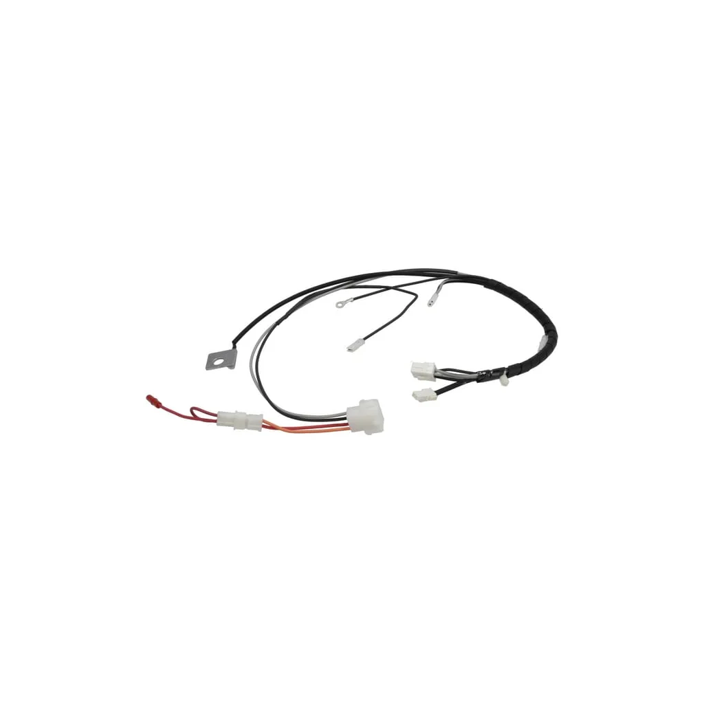 [AMAT2-170624] Cablaj 597204