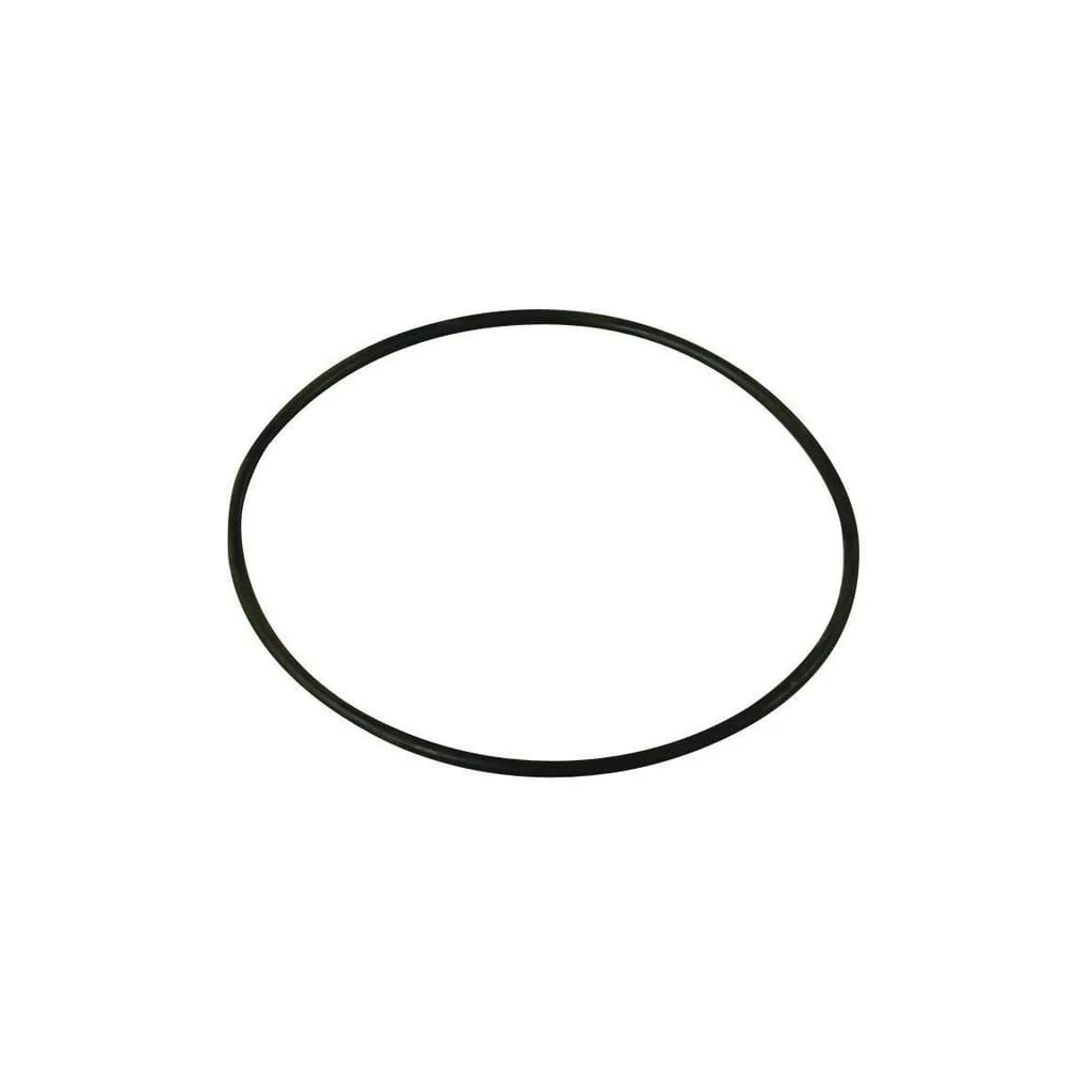 [AMAT2-175317] O-ring 17,5x2,62mm 70 shore EPDM negru Annovi Reverberi 620561